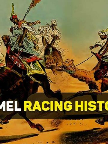 camel racing history