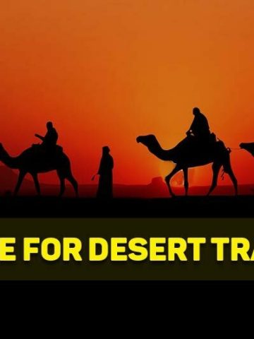why are camels used for transport in the desert
