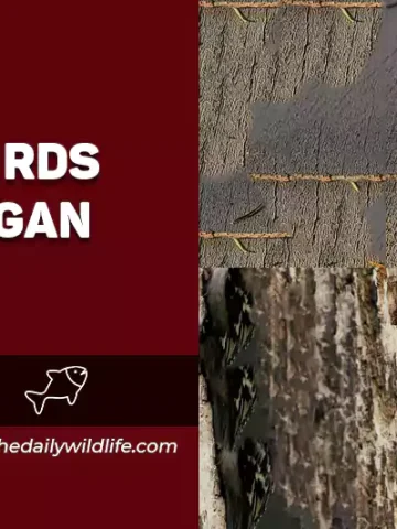 small birds in michigan